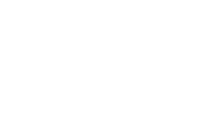 Logo Purastone